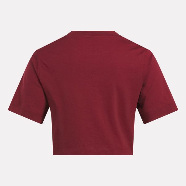 Women's Two-Color Logo Crew Cropped Short Sleeve Tee - Image 5