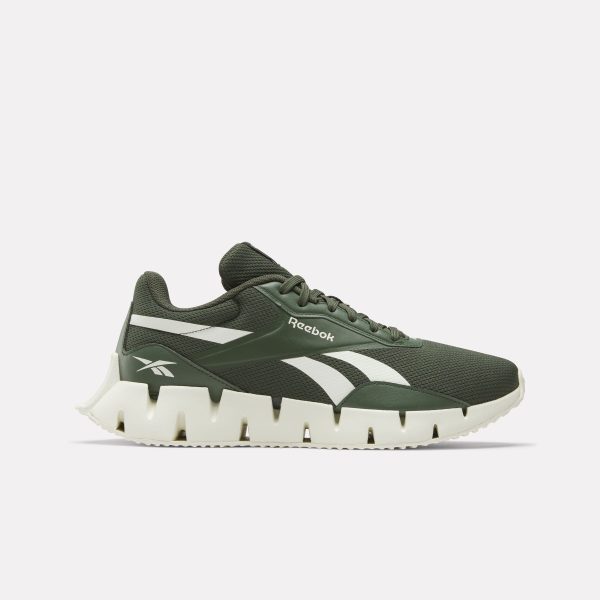 Zig Dynamica STR Running Shoes